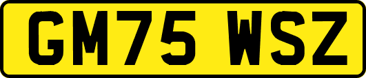 GM75WSZ