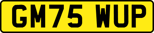 GM75WUP