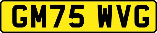 GM75WVG