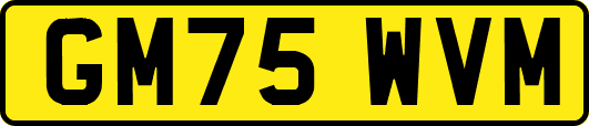 GM75WVM