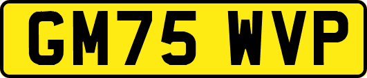 GM75WVP