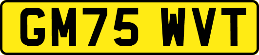 GM75WVT