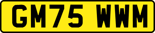 GM75WWM