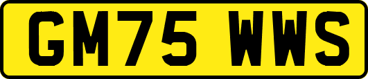 GM75WWS