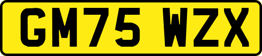 GM75WZX