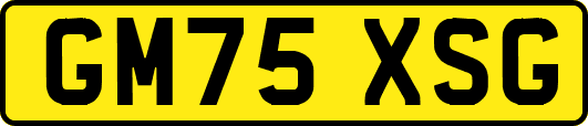 GM75XSG