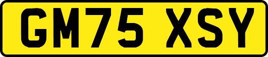 GM75XSY