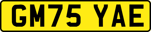 GM75YAE