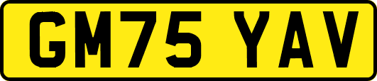 GM75YAV