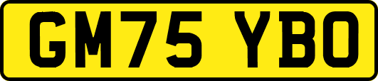 GM75YBO