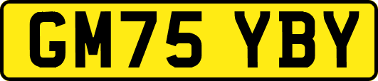 GM75YBY