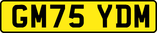 GM75YDM