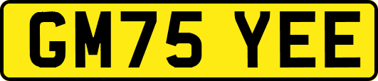 GM75YEE