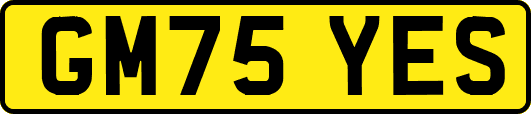 GM75YES