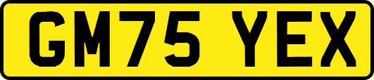 GM75YEX