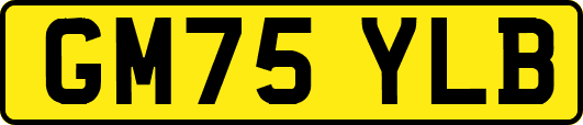 GM75YLB