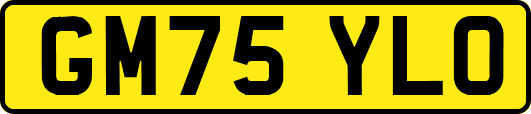 GM75YLO
