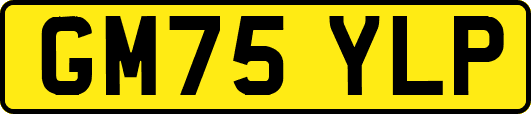 GM75YLP