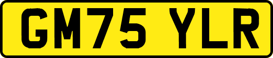 GM75YLR