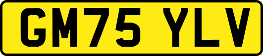 GM75YLV