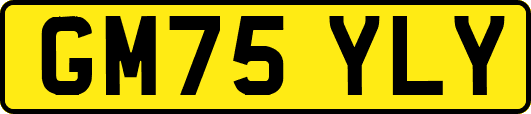 GM75YLY