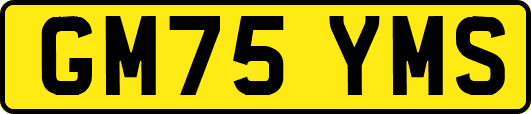 GM75YMS