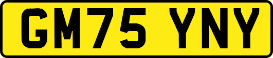 GM75YNY