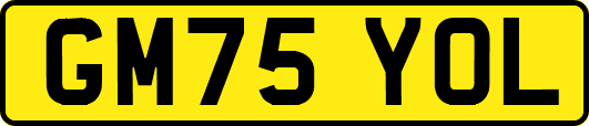 GM75YOL