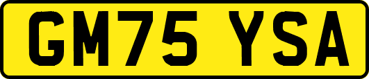 GM75YSA