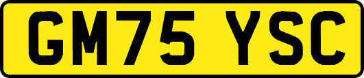 GM75YSC