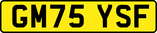 GM75YSF
