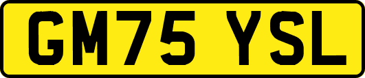 GM75YSL