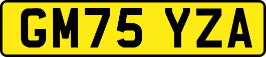 GM75YZA