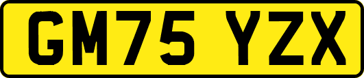 GM75YZX