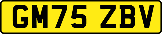GM75ZBV