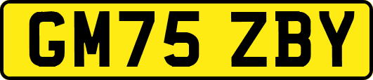 GM75ZBY