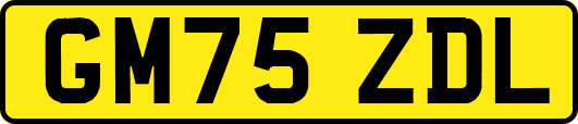 GM75ZDL
