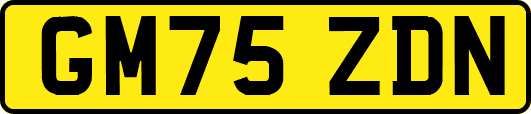 GM75ZDN
