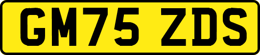 GM75ZDS