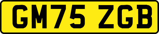 GM75ZGB