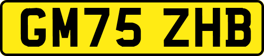 GM75ZHB