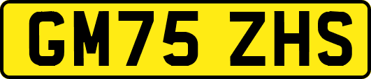 GM75ZHS