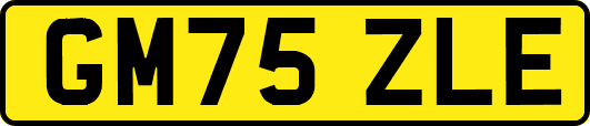 GM75ZLE