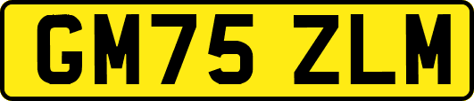 GM75ZLM