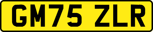 GM75ZLR