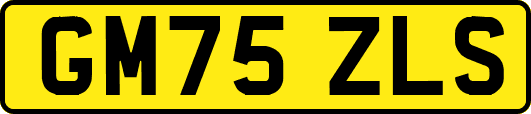 GM75ZLS