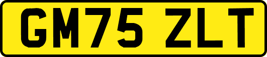 GM75ZLT