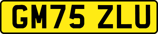GM75ZLU