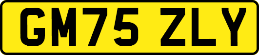 GM75ZLY