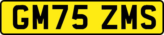 GM75ZMS